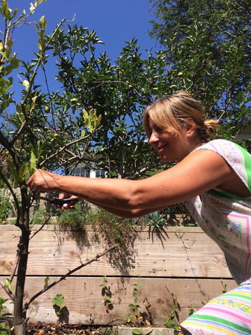 maya fiennes nutrition picking herbs