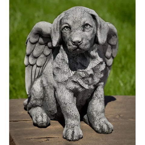 Angel Puppy