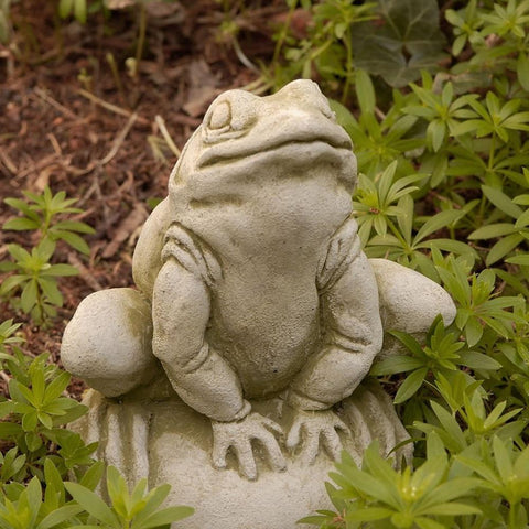 Frankie Frog Cast Stone Garden Statue by Outdoor Art Pros
