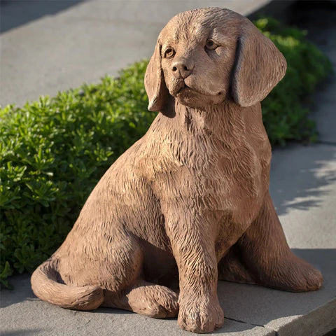 Golden Retriever Puppy