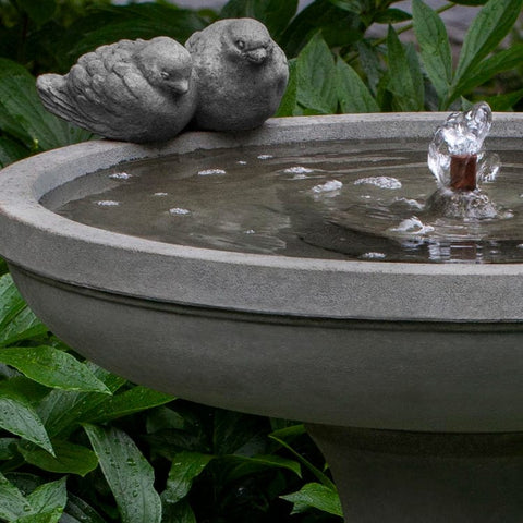 bird bath fountain