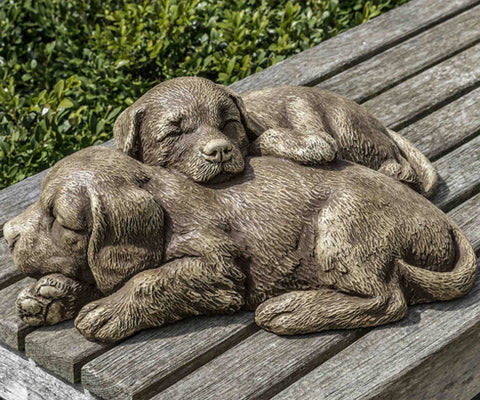 Nap Time Puppies