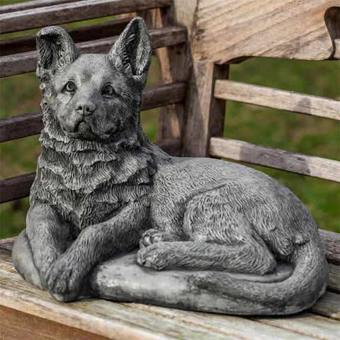 Shepherd Pup