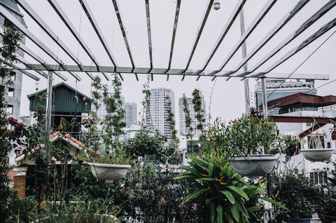 balcony planters