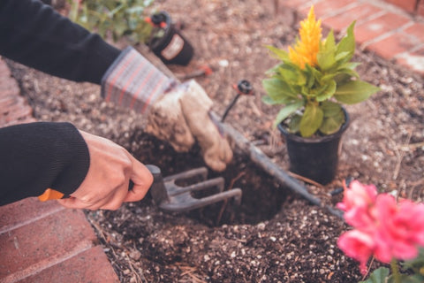 flower bed maintenance