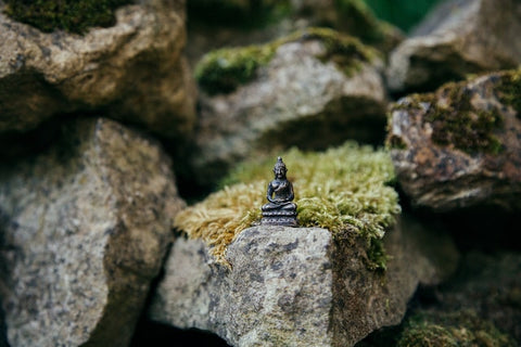 miniature zen garden