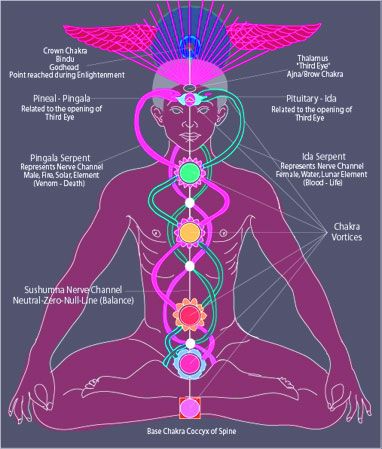 The ancient Indian map of human energy centers.