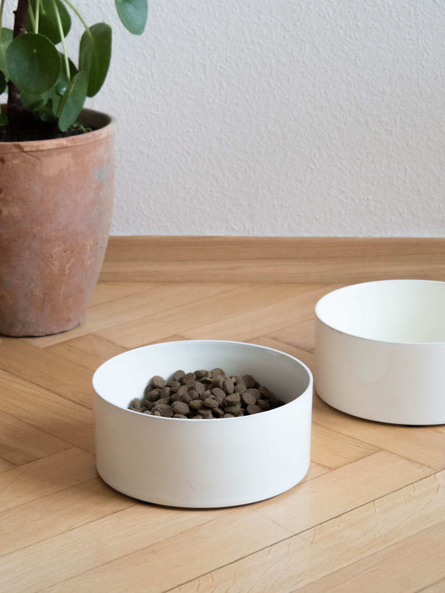 white dog bowl