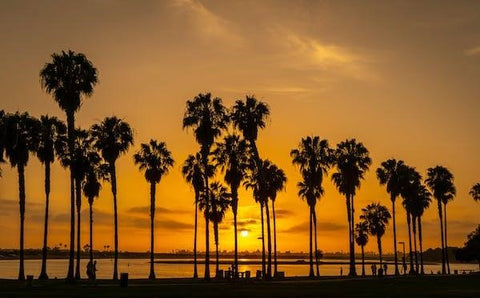 Sunset in San Diego, California