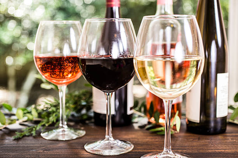 Understanding the Basics of Wine