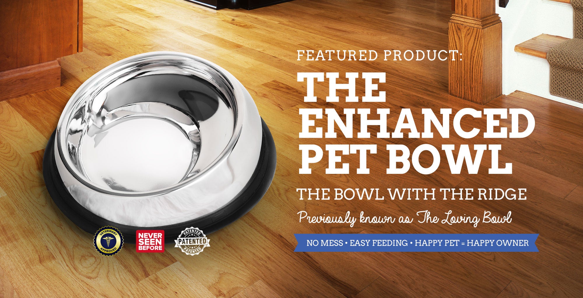 boston terrier food bowl