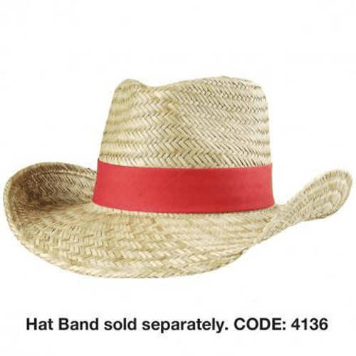  Cowboy-Hat (3969)