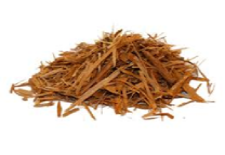 Ginseng Root