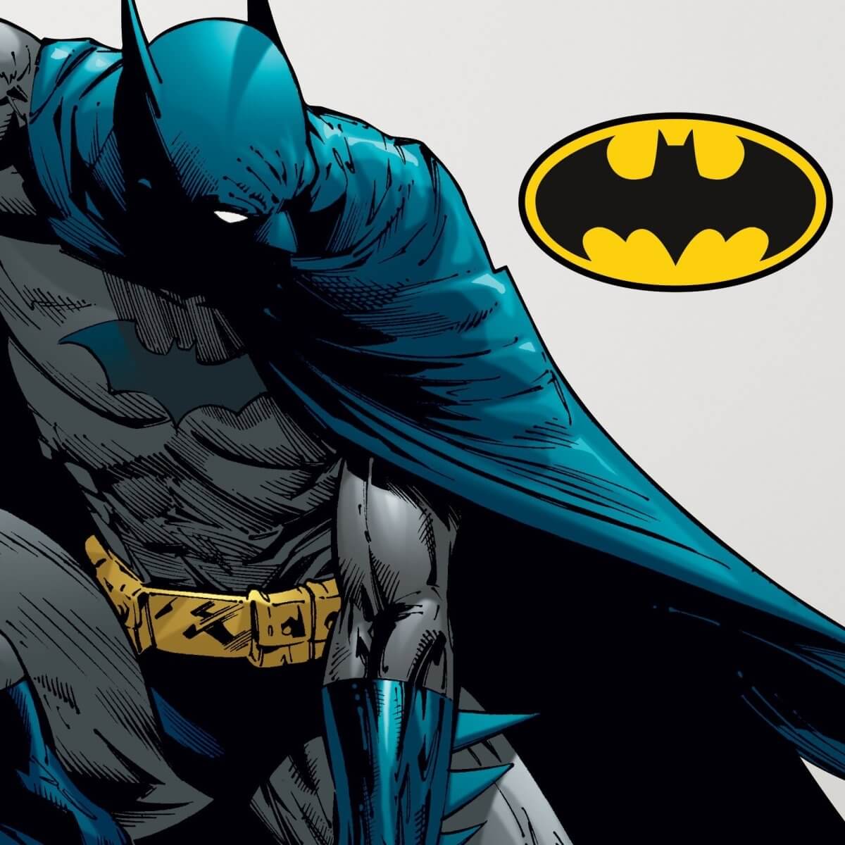 Batman #670 Comic Cover Series Licensed Wall Sticker