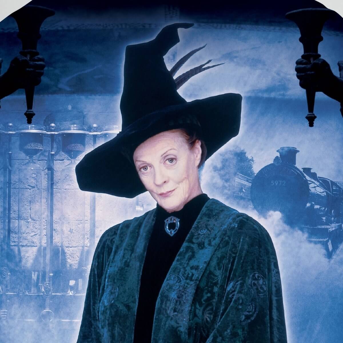 Minerva McGonagall by Chibi Seth  Harry potter costume diy, Harry