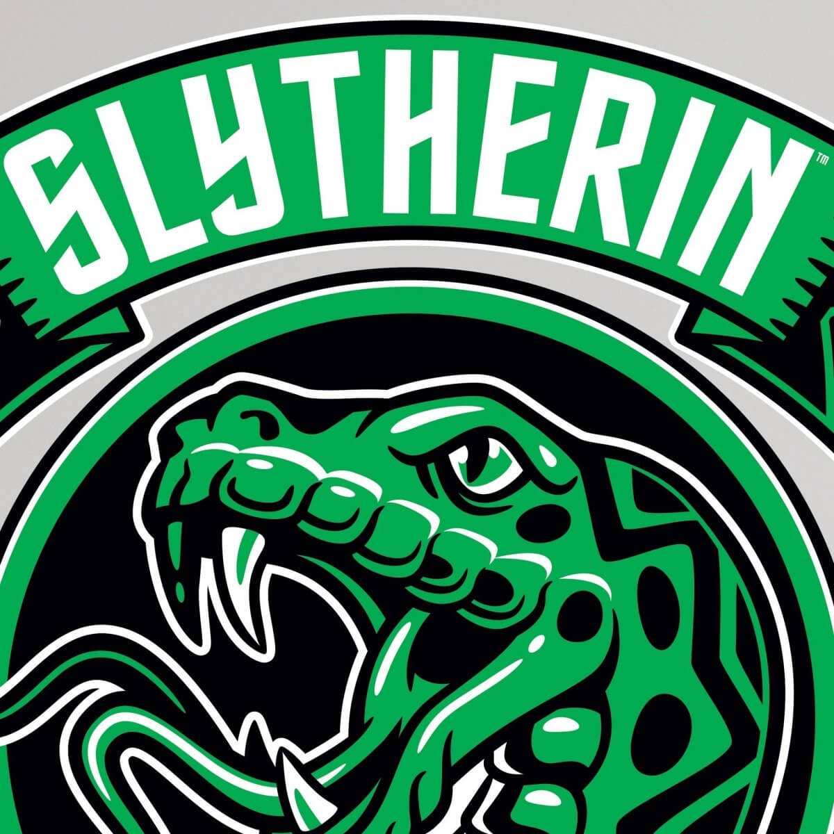 Harry Potter Slytherin Stickers