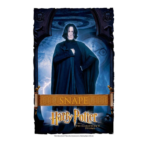 Hogwarts Severus Snape AB Fairy Dust Diamond Painting Harry Potter  Voldemort Cross Stitch Rhinestone Mosaic Home Decor Kids Gift