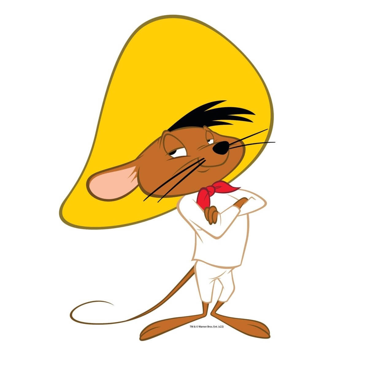 Looney Tunes Speedy Gonzales Licensed Wall Decal