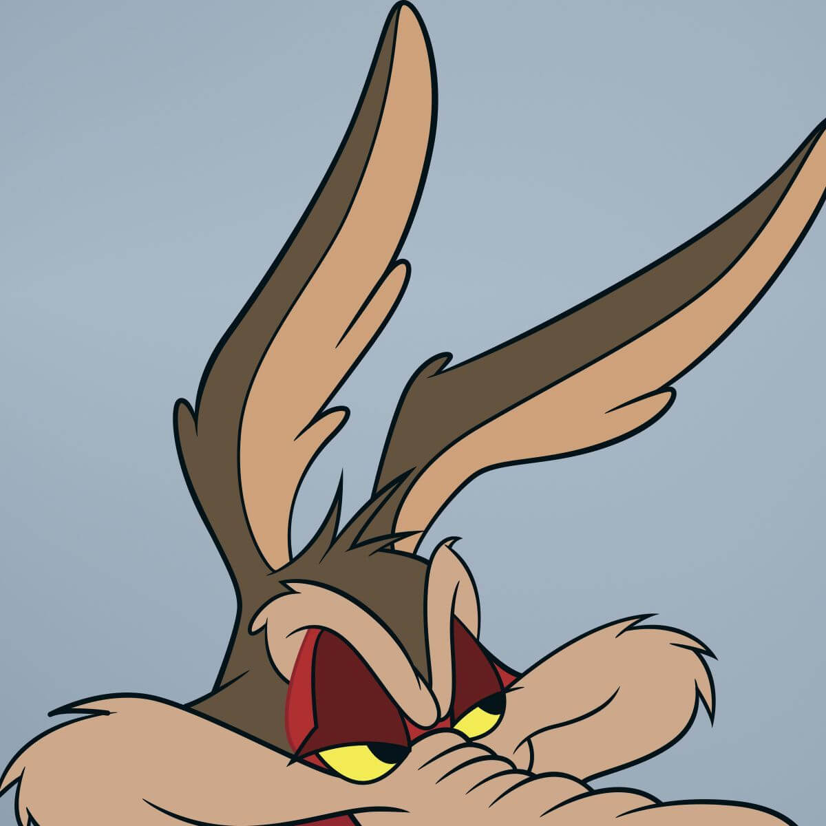 wile e coyote face