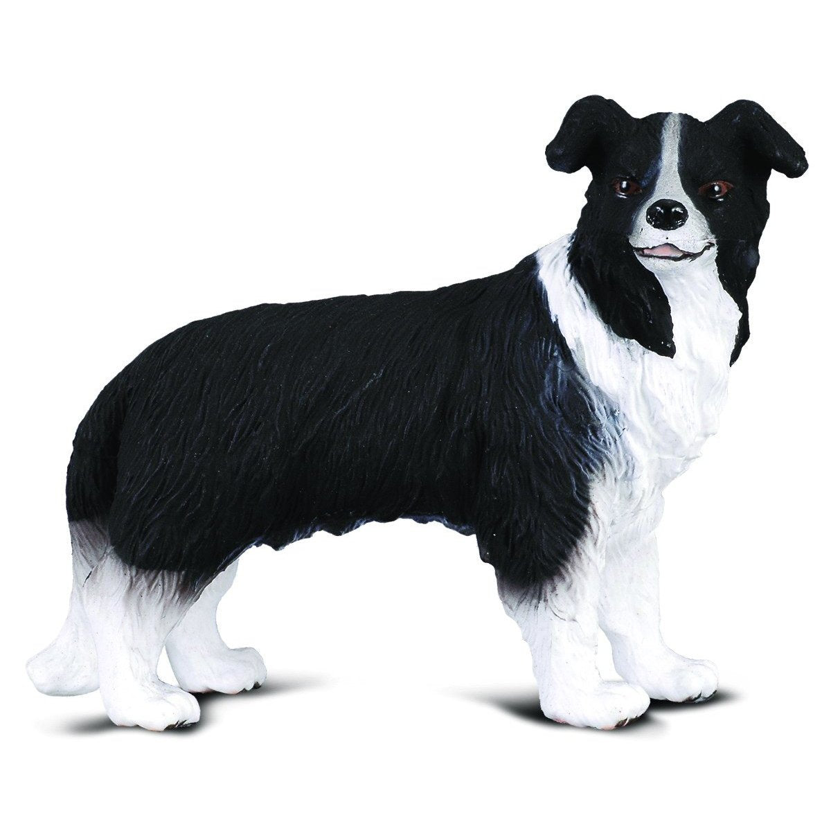 are there miniature border collies