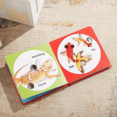 First birthday gifts - Poke-a-Dot Pet Families Book by Melissa & Doug