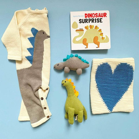 Dinosaurier-Baby-Geschenkset