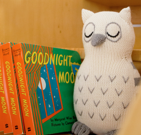 Owl rattle organic baby toy on shelf with Goodnight Moon books