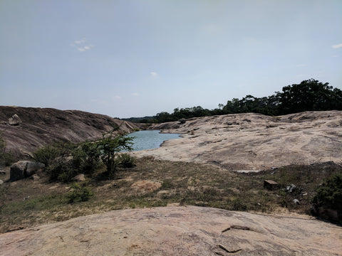 A leopard's watering hole in Yala National Park