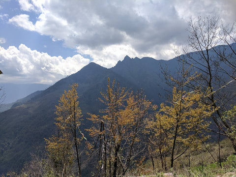 A view of the middle elevation of Purvanchal Mountains