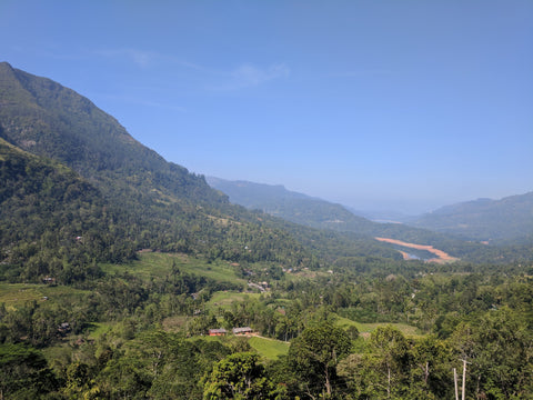 Nuwara Eliya Country-side