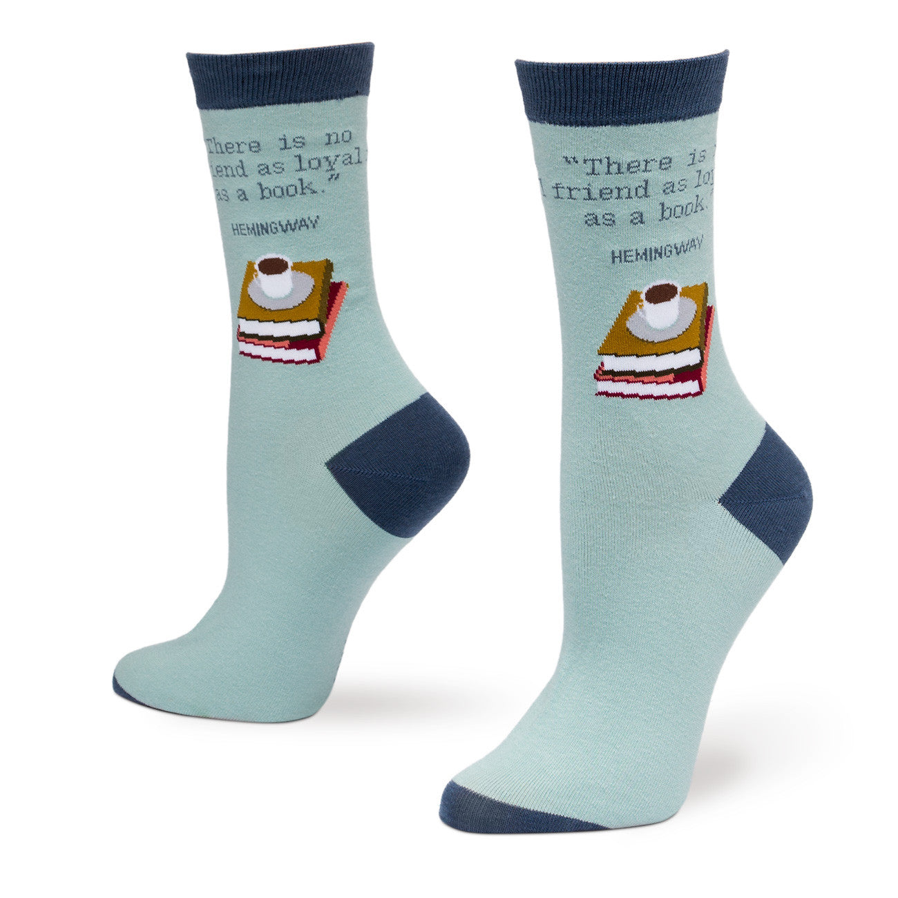 Image result for there is no friend as loyal as a book socks