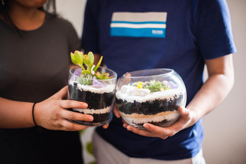 Couples at the Build Your Own Terrarium Bar