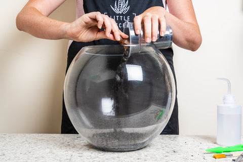 Terrarium glass bowl