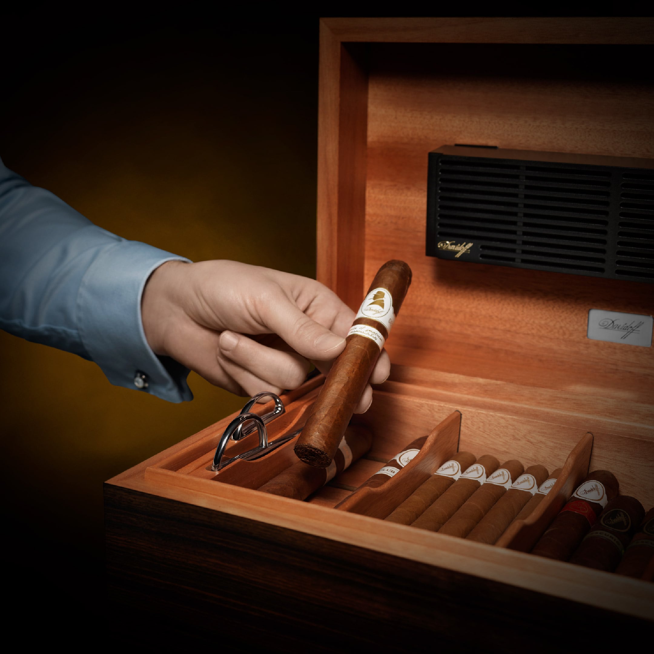 How to Stack Cigars in a Humidor nextCIGAR