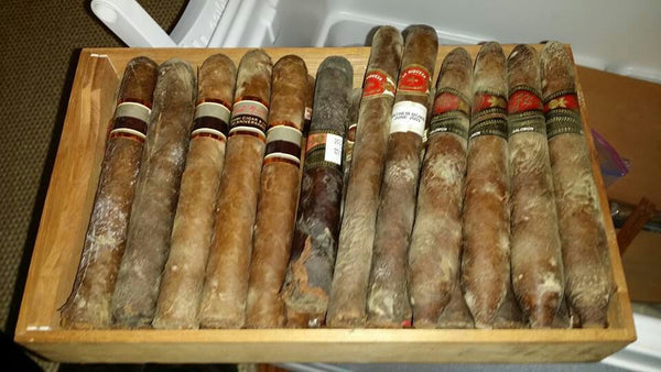 Humidor