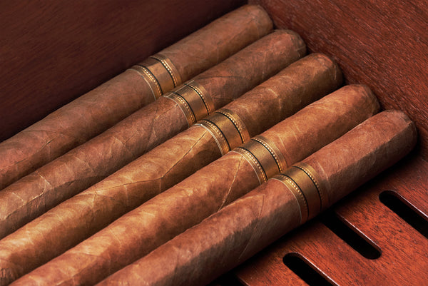 Cigars in humidor