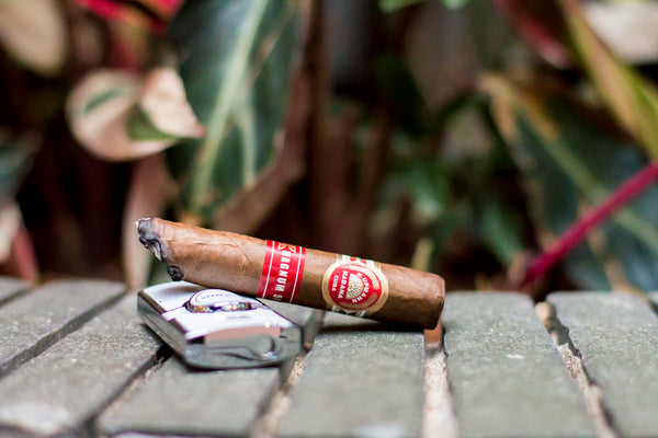 H. Upmann Magnum 50