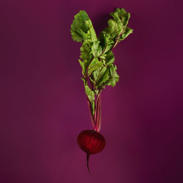 Beetroot - a super star super food!