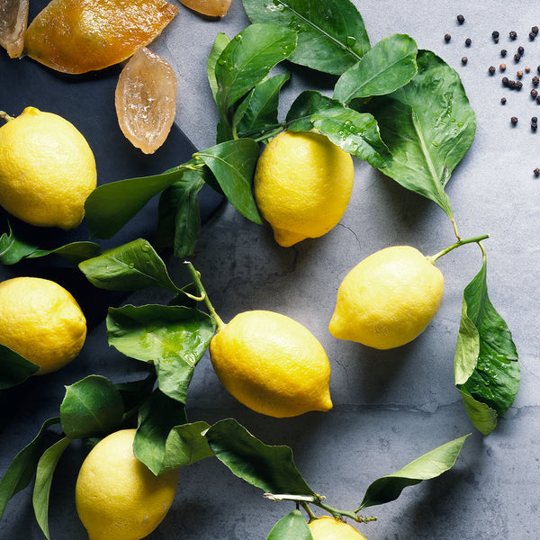 Veloforte | Zenzero | Lemons & Ginger | Supports Digestion & Muscle Soreness