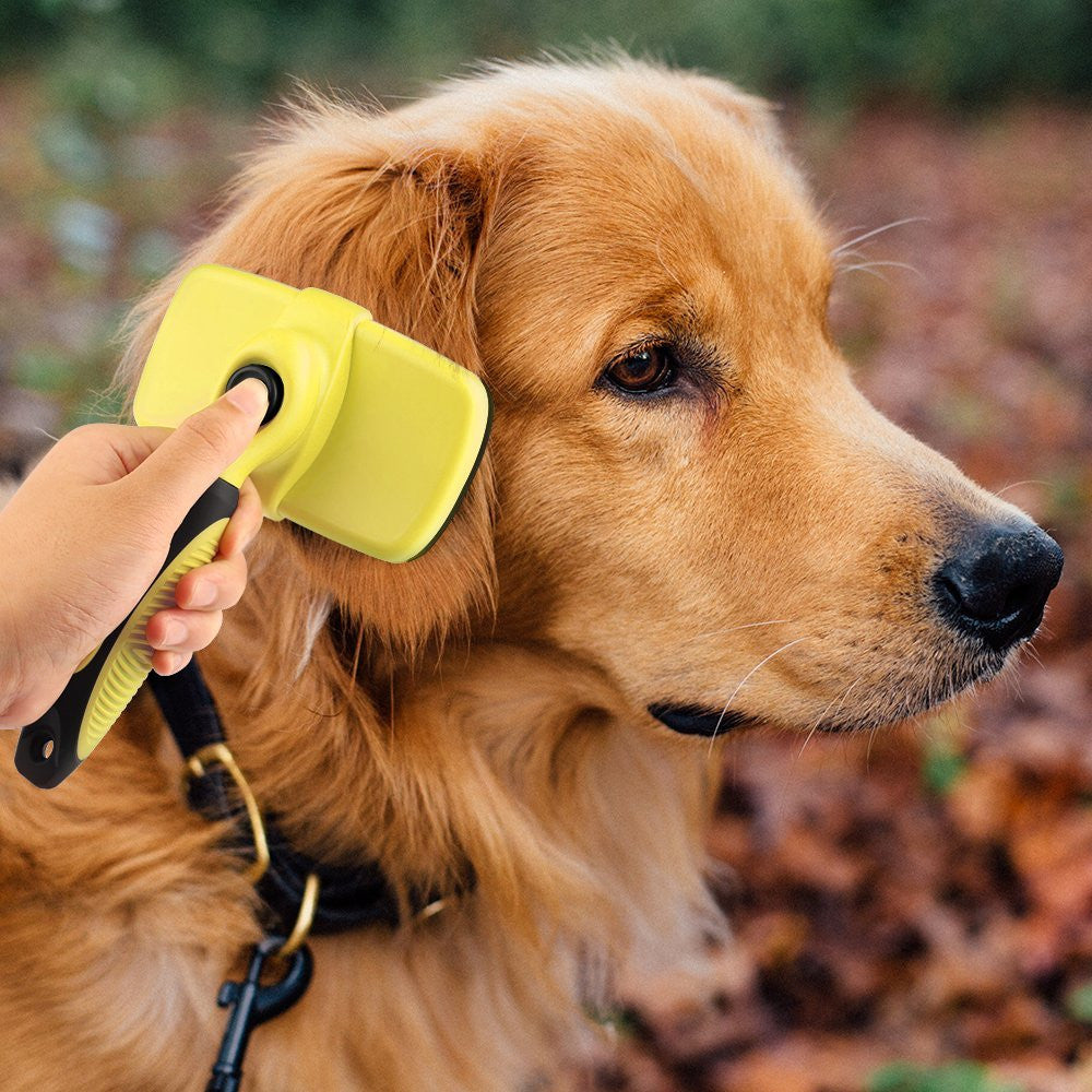 easy brush for dogs