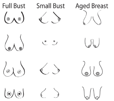 Breast Shape And Size Chart