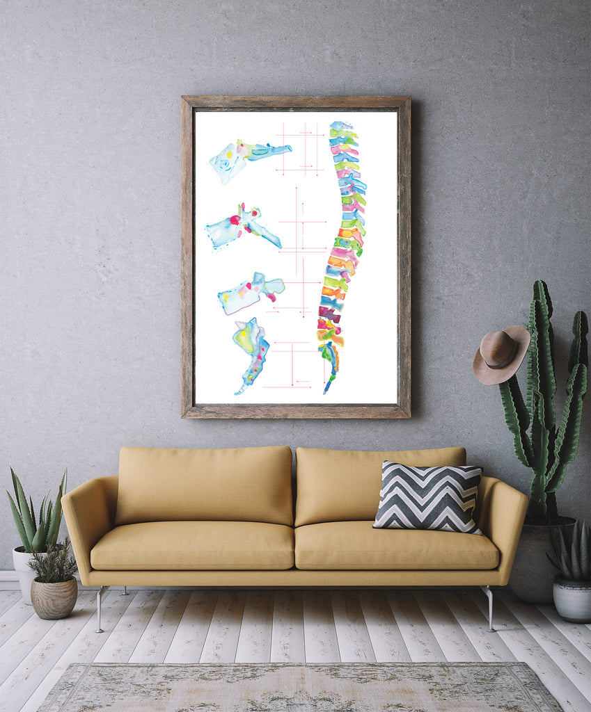 Spine Anatomy Abstract Art Print Chiropractic Office Wall Art Medpapers