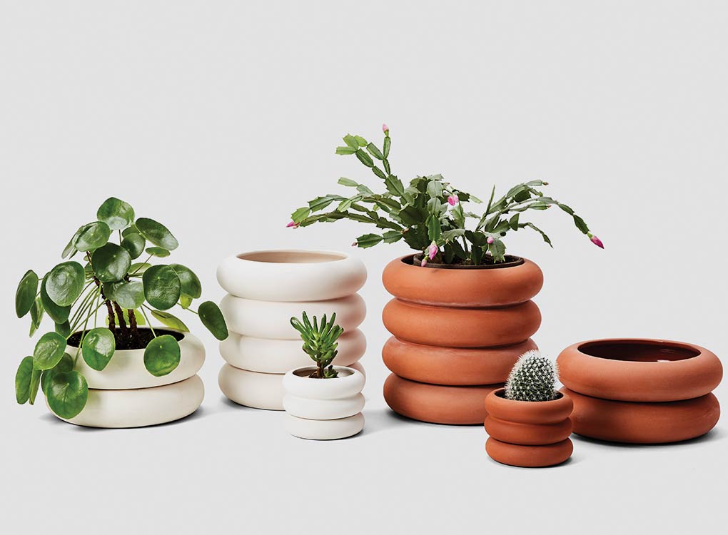 areaware designs planters with plants in them