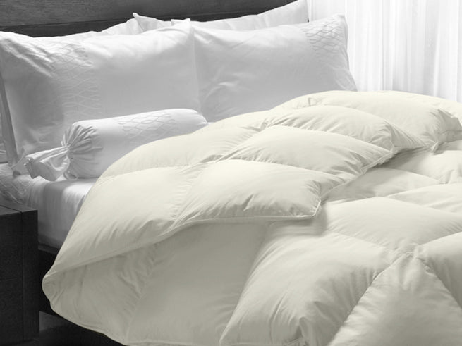 Snow Goose Down Signature Plus Duvet Northern Feather Dreammakers
