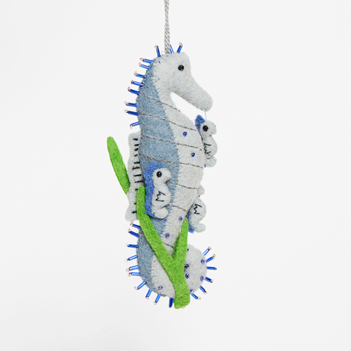 SeahorseDad Craftspring 1