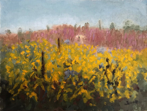 Meadow Study, Late Summer, oil on canvas paper landscape painting by Philadelphia artist John Sevcik