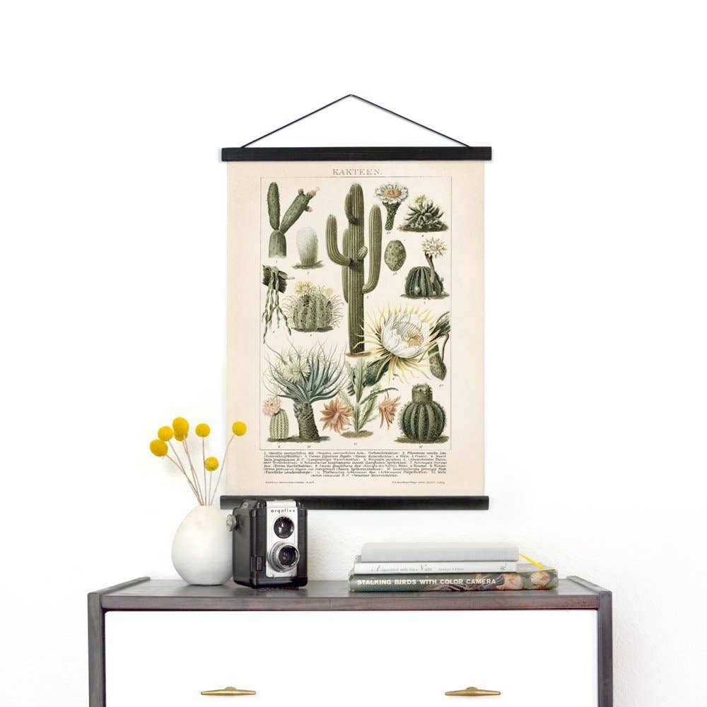 Curious Prints | Vintage Botanical Cactus Kakteen Canvas Wall Hanging