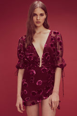 for love and lemons sophie velvet floral mini dress