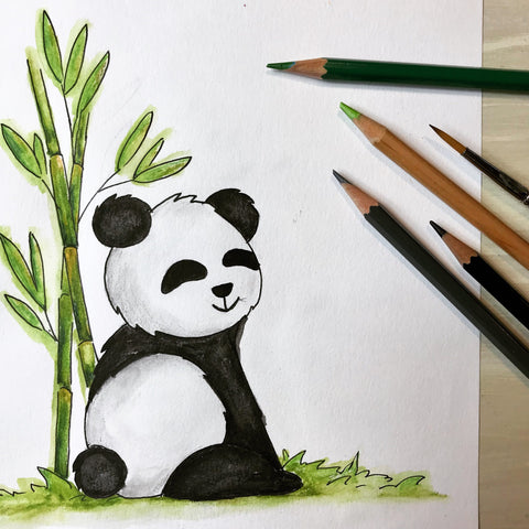 panda illustration whimsicals paperie