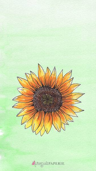 free phone wallpaper with a sunflower on a green background